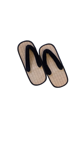 Japanese Slippers